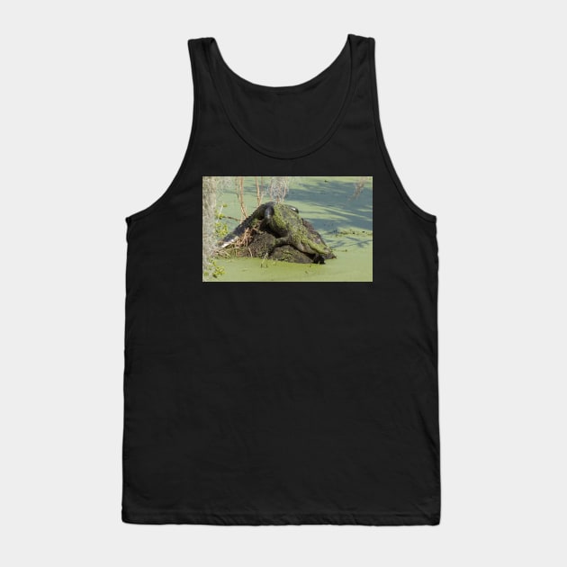 Alligator covered in Duckweed Tank Top by Sparkleweather